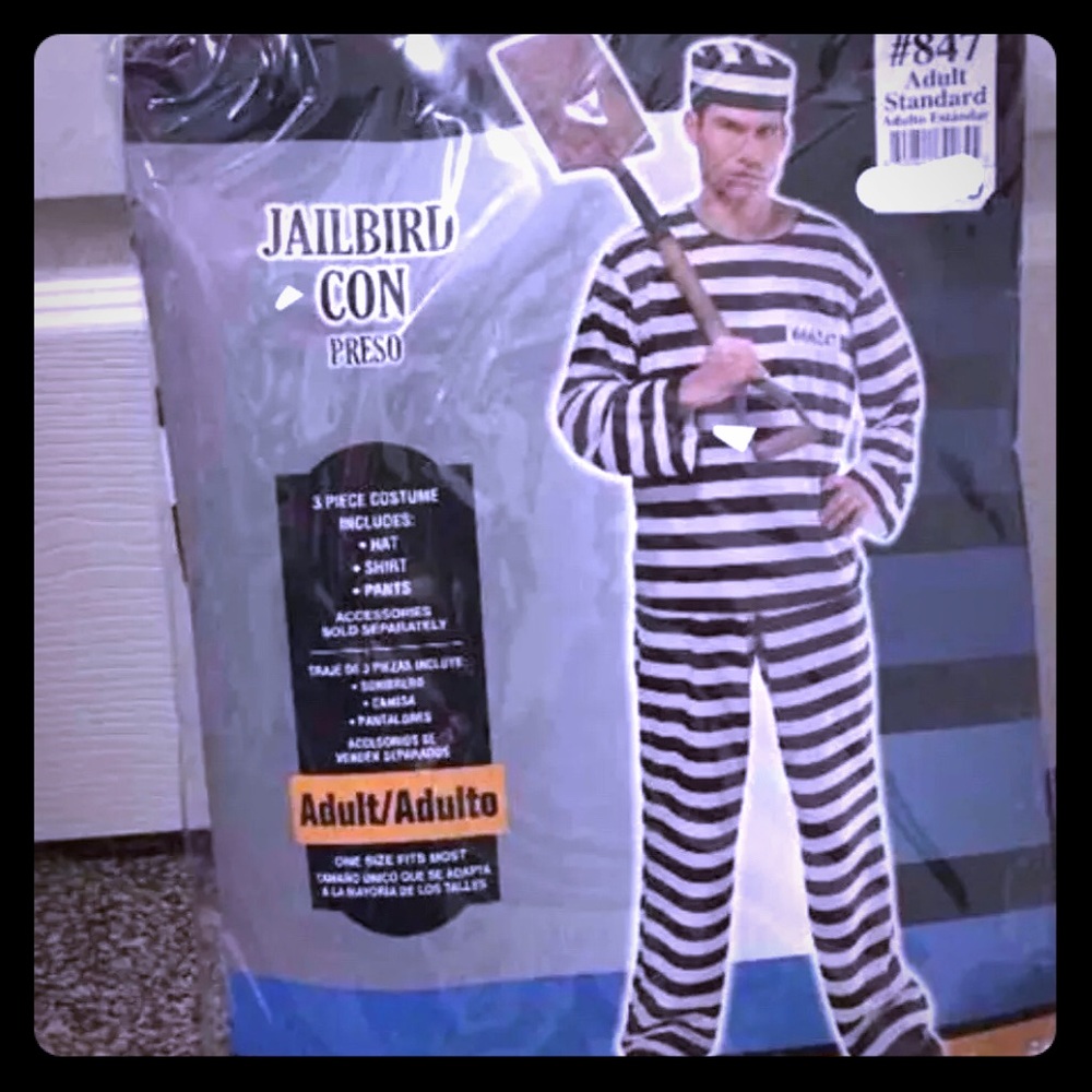 Adult Jailbird Con Prisoner Costume